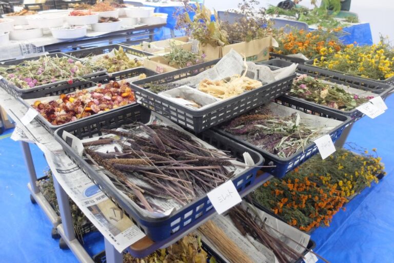 リースの材料となるドライフラワーが並んでいる様子