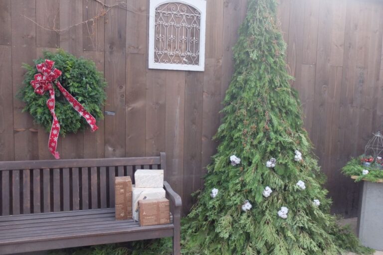 ガーデンショップ内に設けられたフォトスポット