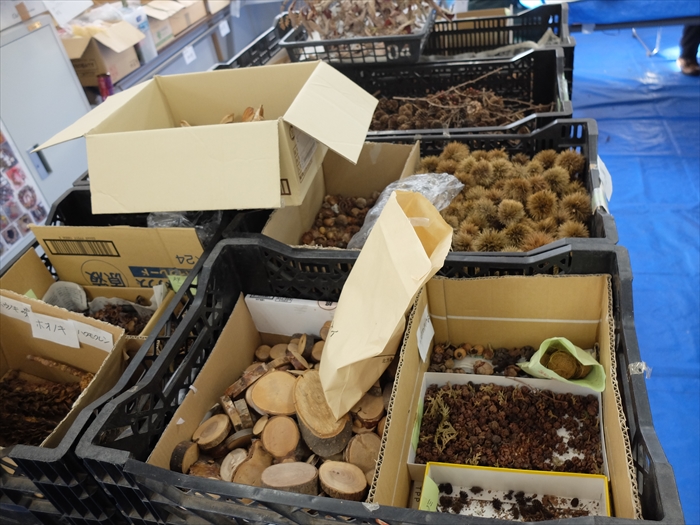 準備されている様々な木の実