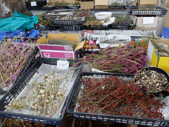 材料のドライフラワー