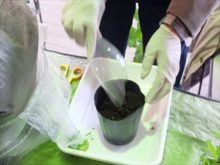 土入れの使用例