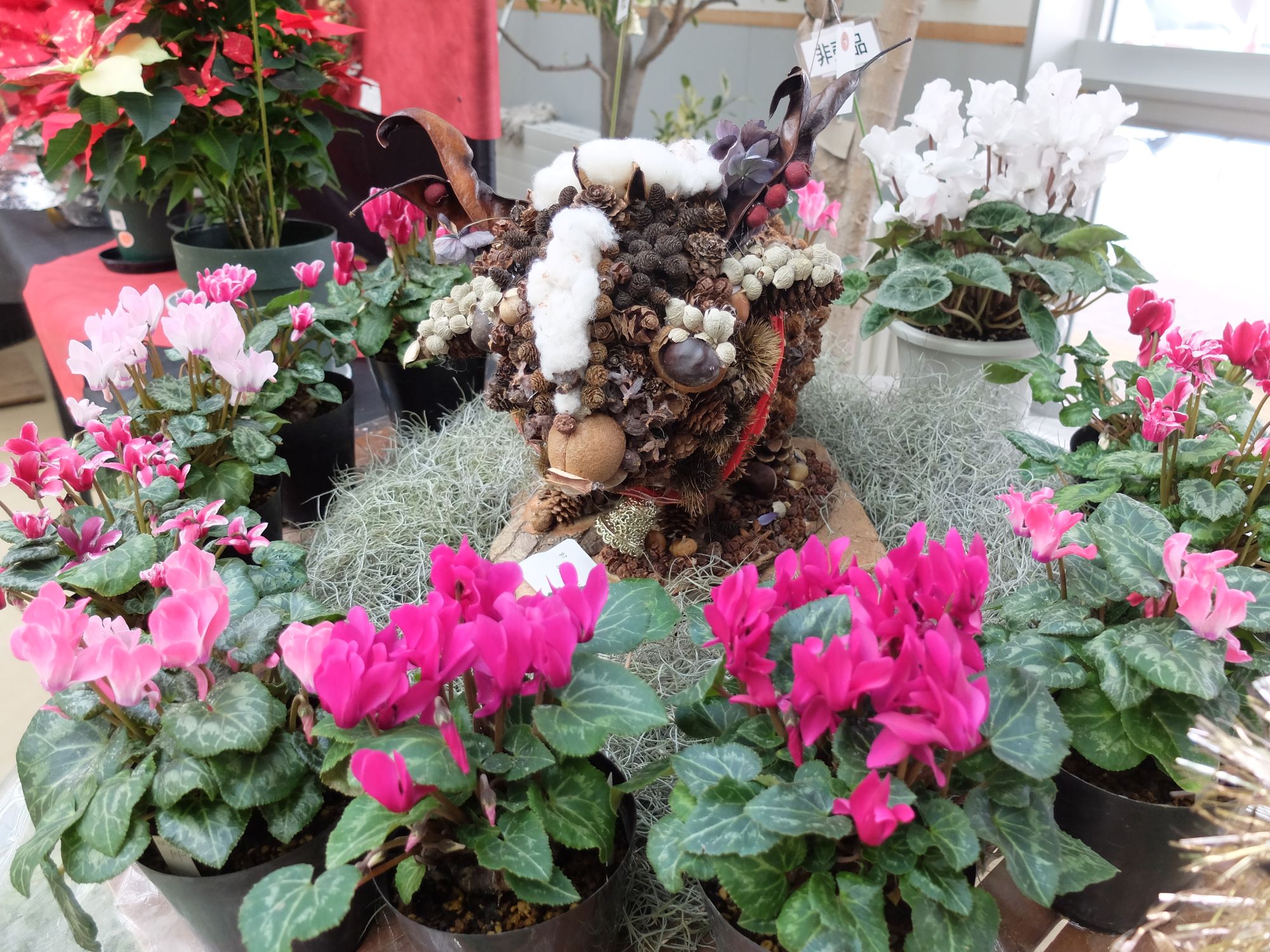 シクラメンに囲まれた動物型の飾り