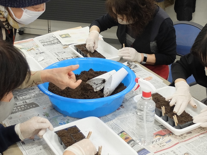 2024年の種まき育苗攻守階の様子