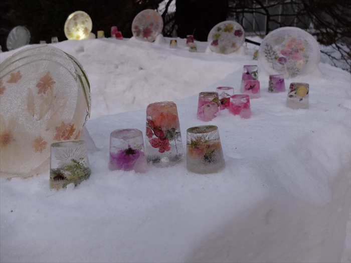 氷板と氷中花