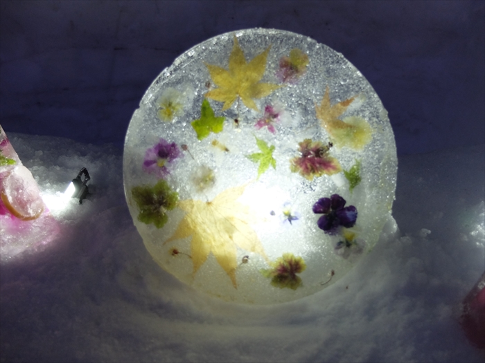 お花で作った氷板