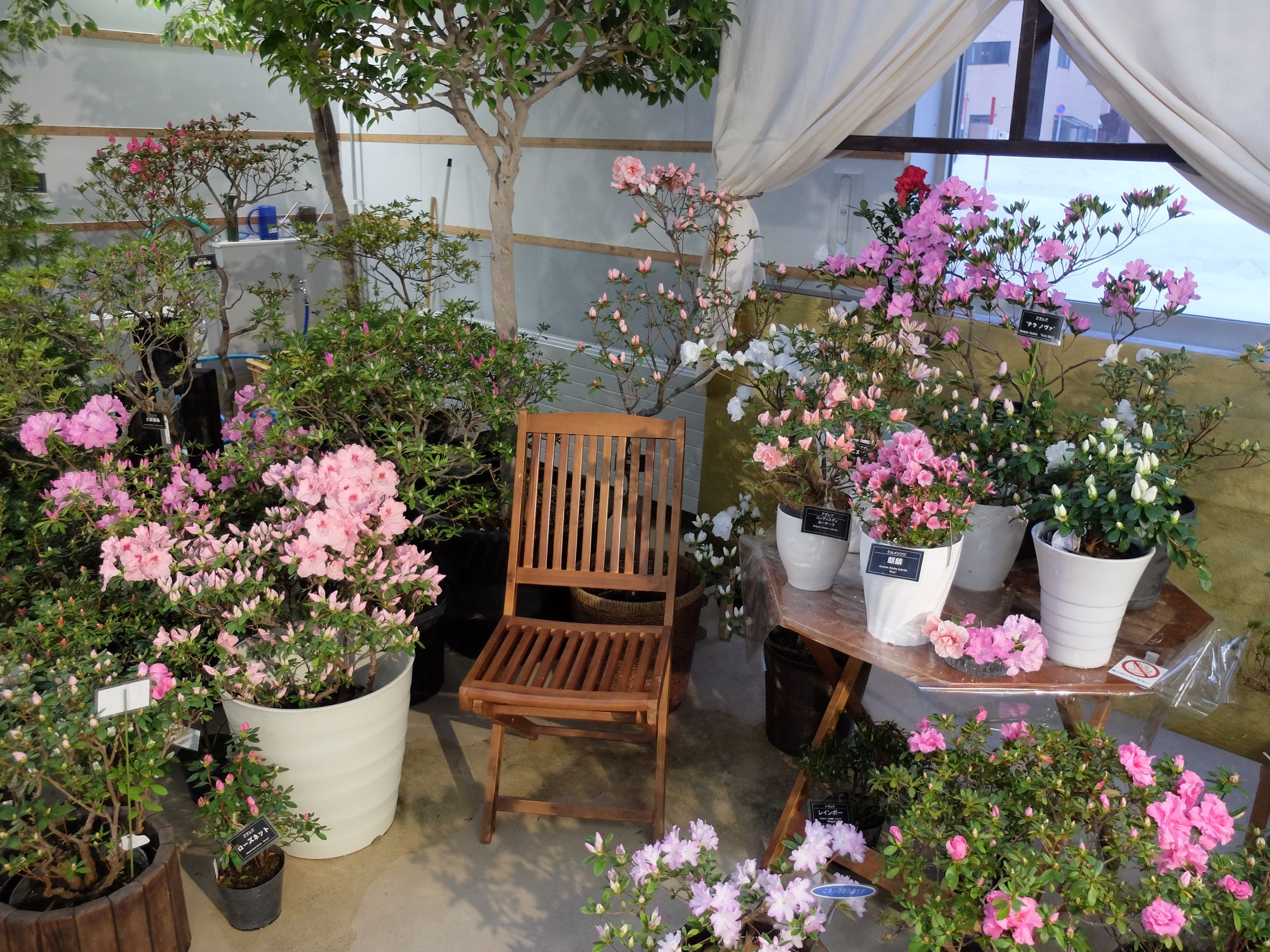 フォトスポット