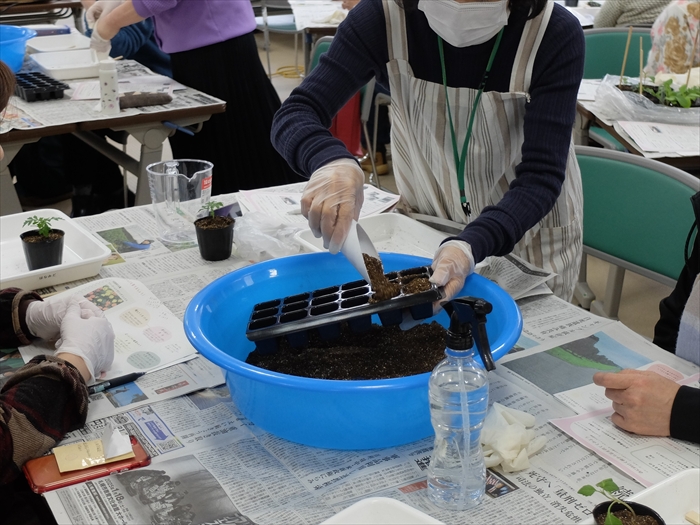 土の入れ方の実践