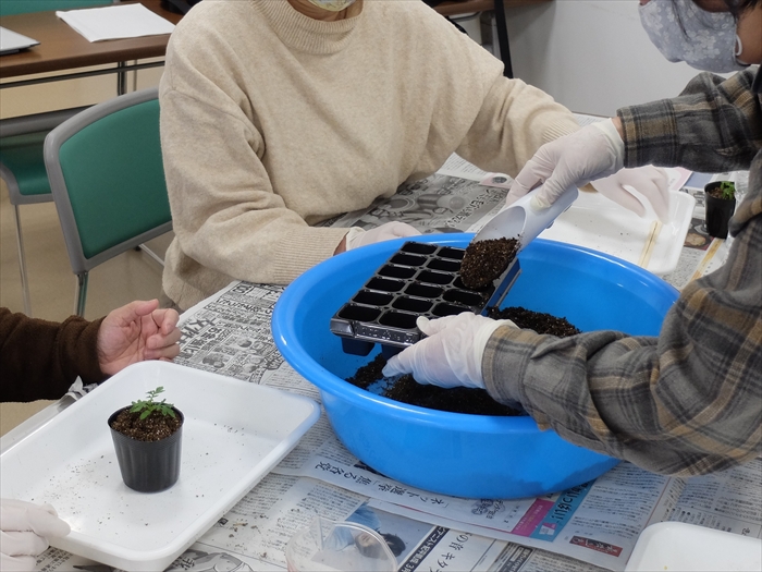 土の準備を行っている