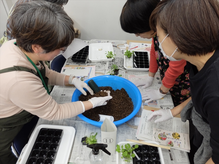 土の準備をしている