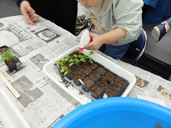 霧吹きをかけている