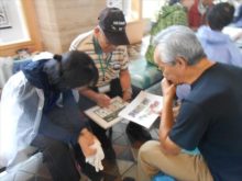 補植苗の検討をしているところ