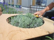 上の部分もはみ出したところを切っている