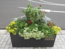 ライラック班のコンテナ