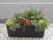 サルビア班のコンテナ