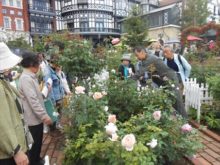 バラの説明を受けているところ