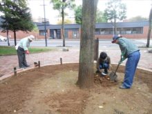 植え床をつくっているところ