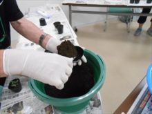 土を入れて準備しているところ