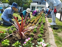 認定NPO法人 シーズネット