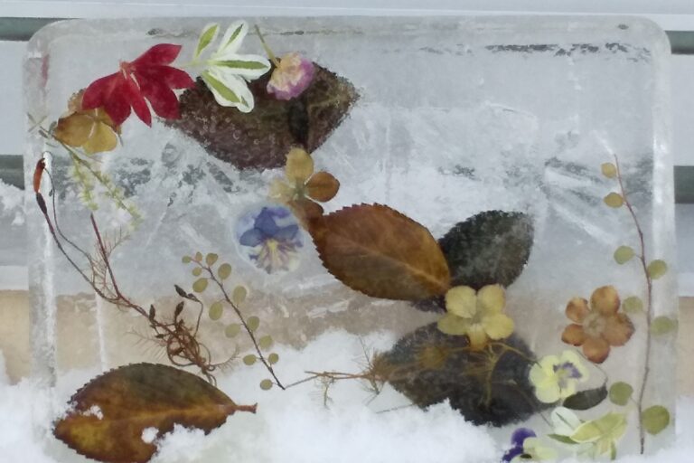 タウンガーデナーさんからのお便り