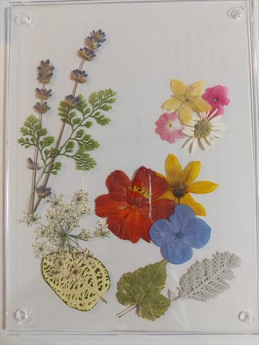 オンライン参加者の作品