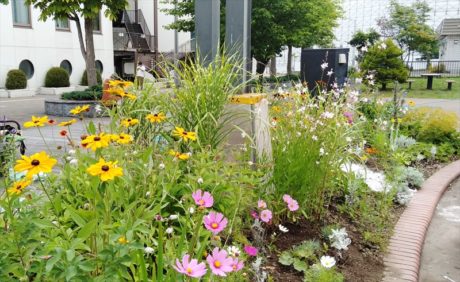 背の高い花が風にゆれる