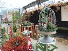 クリスマスでスプレイ展