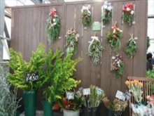 販売中の木の枝など