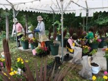 寄植え制作の様子