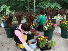 寄植え制作の様子