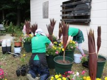 寄植え制作の様子
