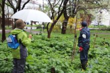 自分の記念樹の様子を見るメンバーさん