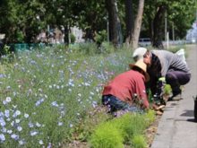 フラワー創遊会の作業の様子