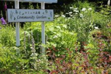 かわいらしいコミュニティ花壇の看板