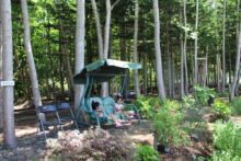 林のなかにあるブランコ