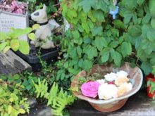 オープンガーデンの中のしつらえ