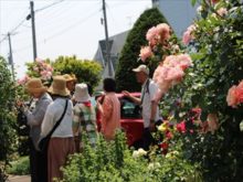 庭主さんに質問している様子