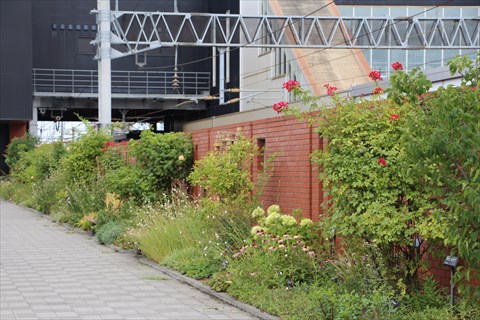 ＪＲ白石駅南口の花壇