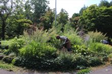 グリーンエプロンズの花壇