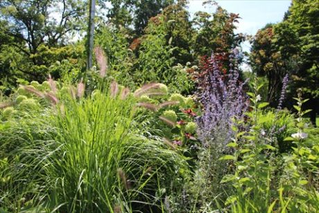 グリーンエプロンズの花壇