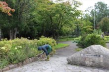 公園をきれいに管理している様子