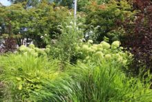 グラスの美しい様子