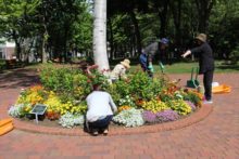 メンテナンスの様子