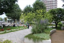 タッチガーデンの様子