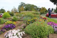 ジェントルガーデンの様子