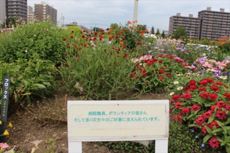 ジェントルガーデンの様子