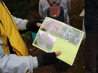 ガイドさんの持っているアルバム