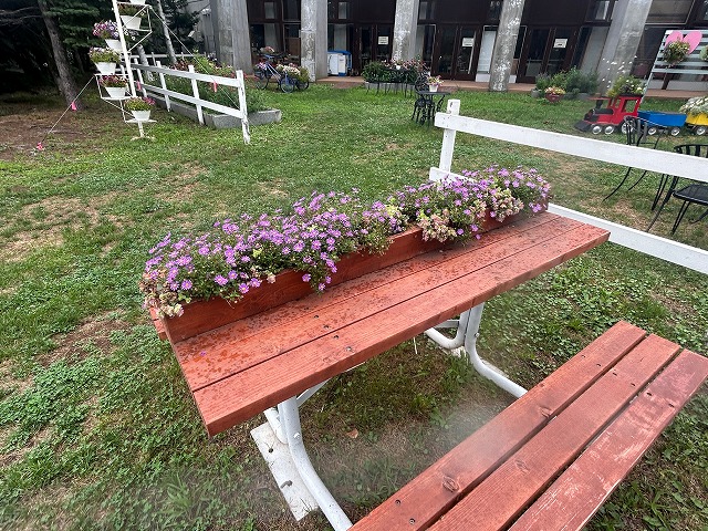 花が植えられるベンチ