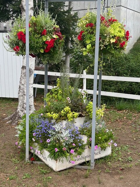 ラウンドバスケット