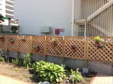 マンションの敷地内の植栽