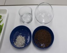 ハイドロカルチャーの材料